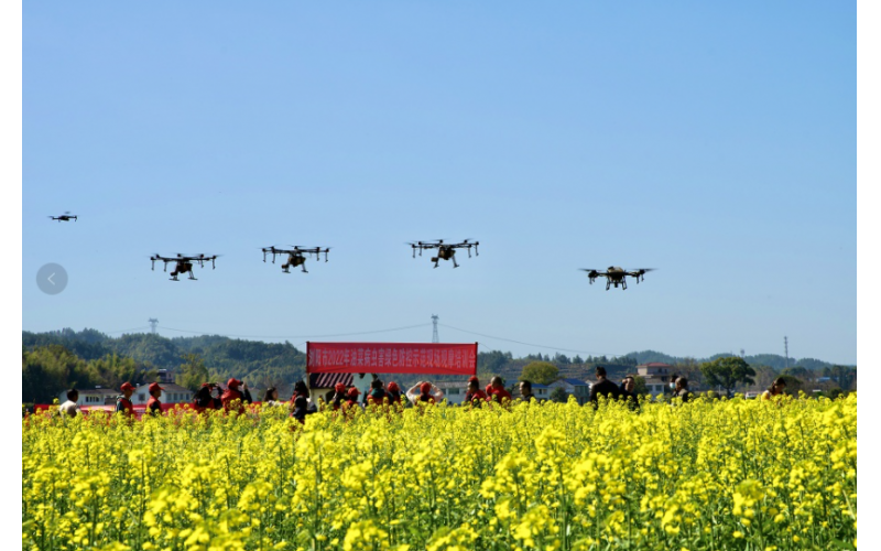 瀏陽采用無人機“護花” 一臺無人機相當(dāng)于15倍人工