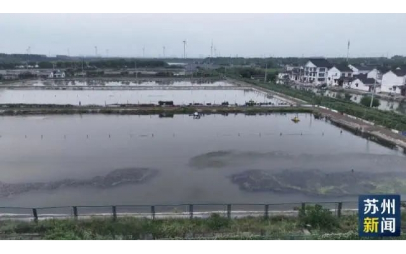 蘇州港航集團(tuán)無人機(jī)飼料投喂應(yīng)用場(chǎng)景在陽澄湖成功首飛